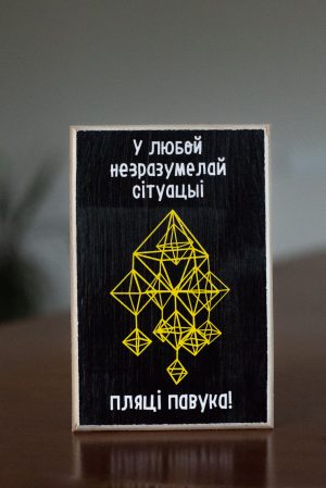 Магніт "У любой незразумелай сітуацыі пляці павука"