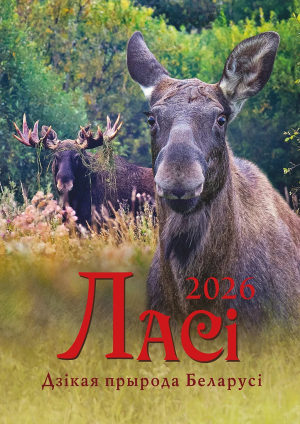 Насценны каляндар "Ласі. Дзікая прырода Беларусі" на 2026 год