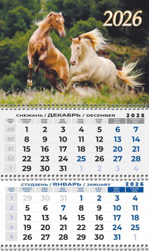 Квартальны каляндар на 2026 год "Коні"