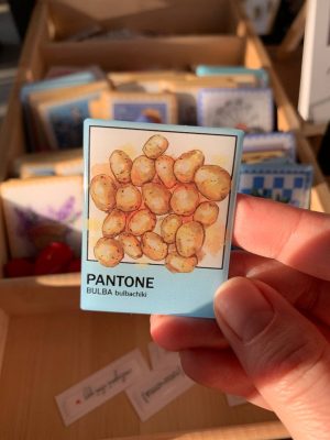 Магніт "PANTONE BULBA"